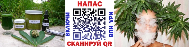 hydra ссылка  где найти наркотики  Моршанск  Cannafood марихуана 