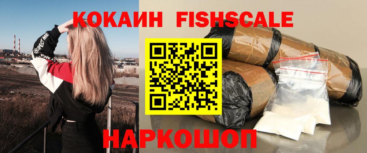 КОКАИН FishScale  Моршанск  COCAIN Fish Scale 