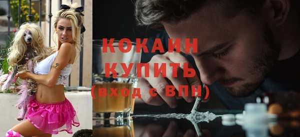 твердый Вяземский