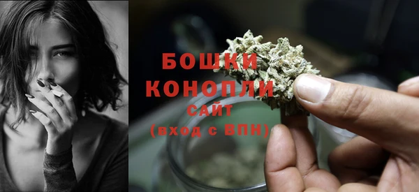 твердый Вяземский