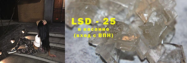 твердый Вяземский