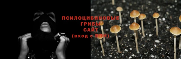 молекула духа Вязники