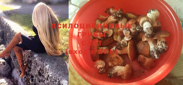 твердый Вяземский