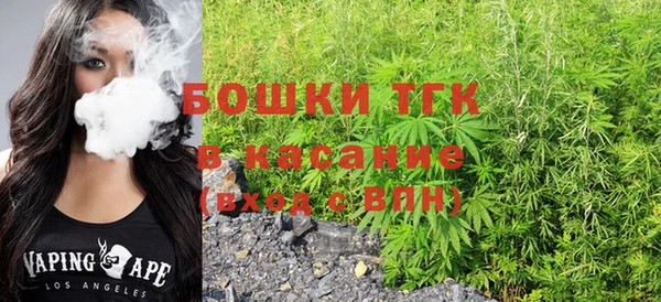 твердый Вяземский