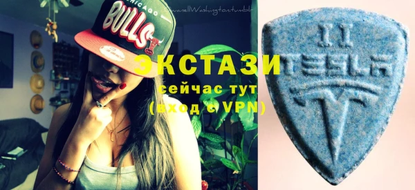твердый Вяземский