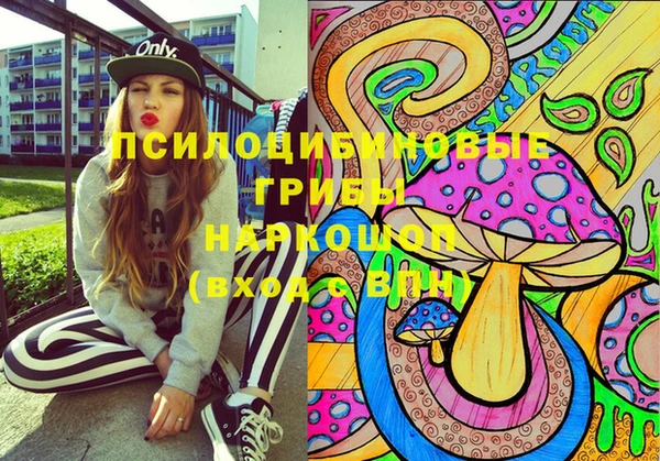 молекула духа Вязники