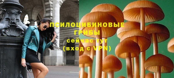 твердый Вяземский