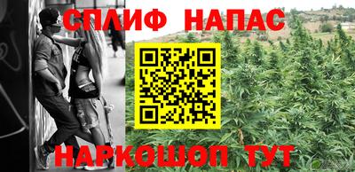 прущие грибы Бийск