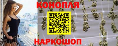 прущие грибы Бийск