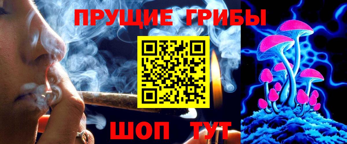 Псилоцибиновые грибы мицелий  Моршанск 