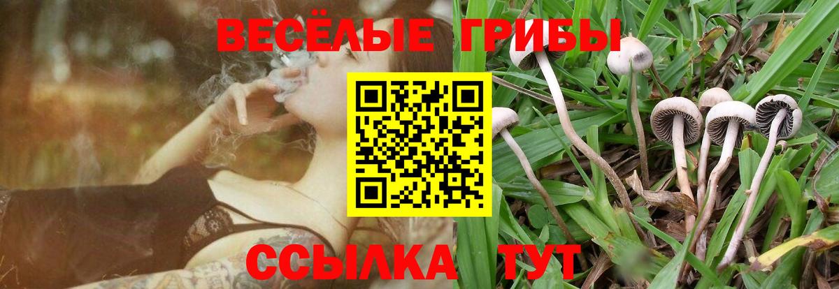 где можно купить   Псилоцибиновые грибы Magic Shrooms  Вход с VPN  Моршанск 