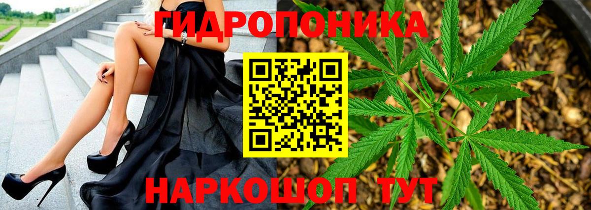 Шишки марихуана индика  Каннабис план  Конопля ГИДРОПОН  Моршанск  Вход с VPN  Бошки марихуана SATIVA & INDICA 